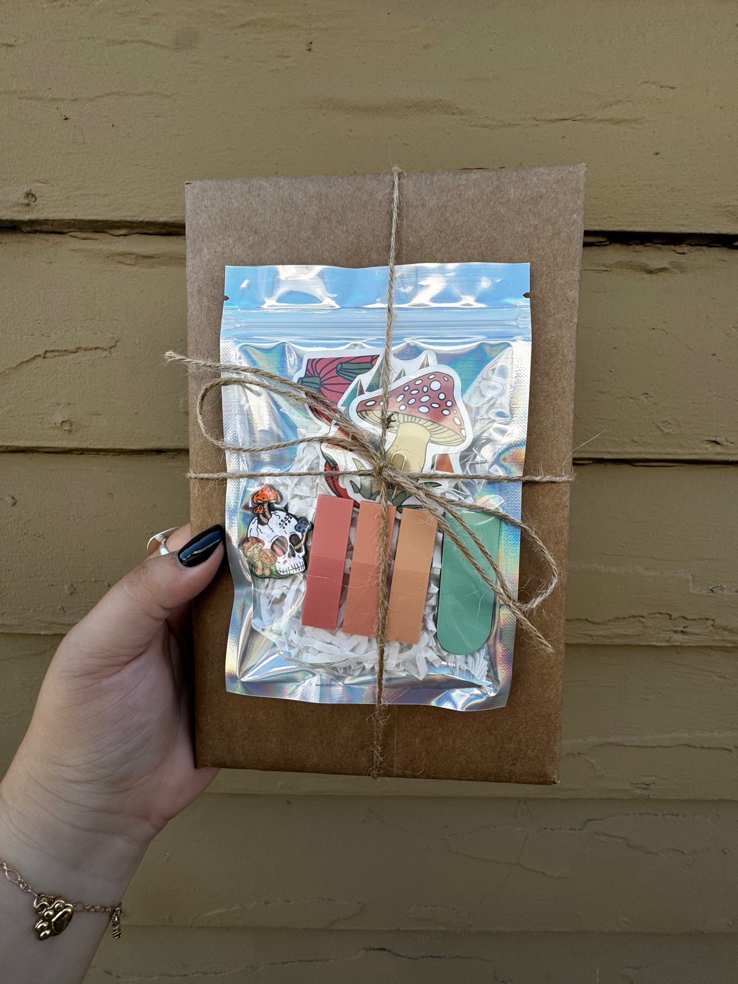 a blind date with a book!